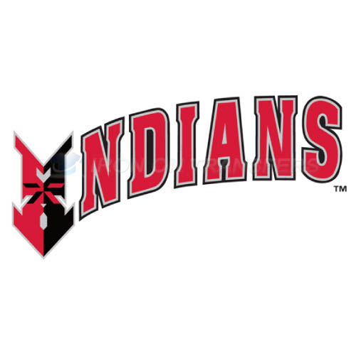 Indianapolis Indians Iron-on Stickers (Heat Transfers)NO.7973